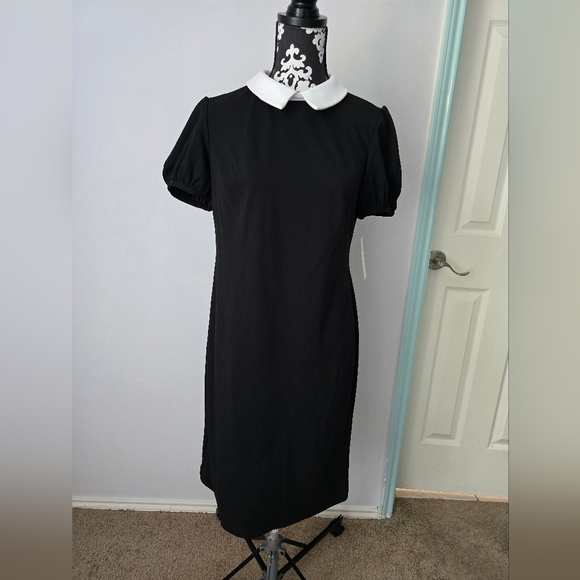 Shelby & Palmer Black Collared Dress Size 12 - Picture 7 of 12